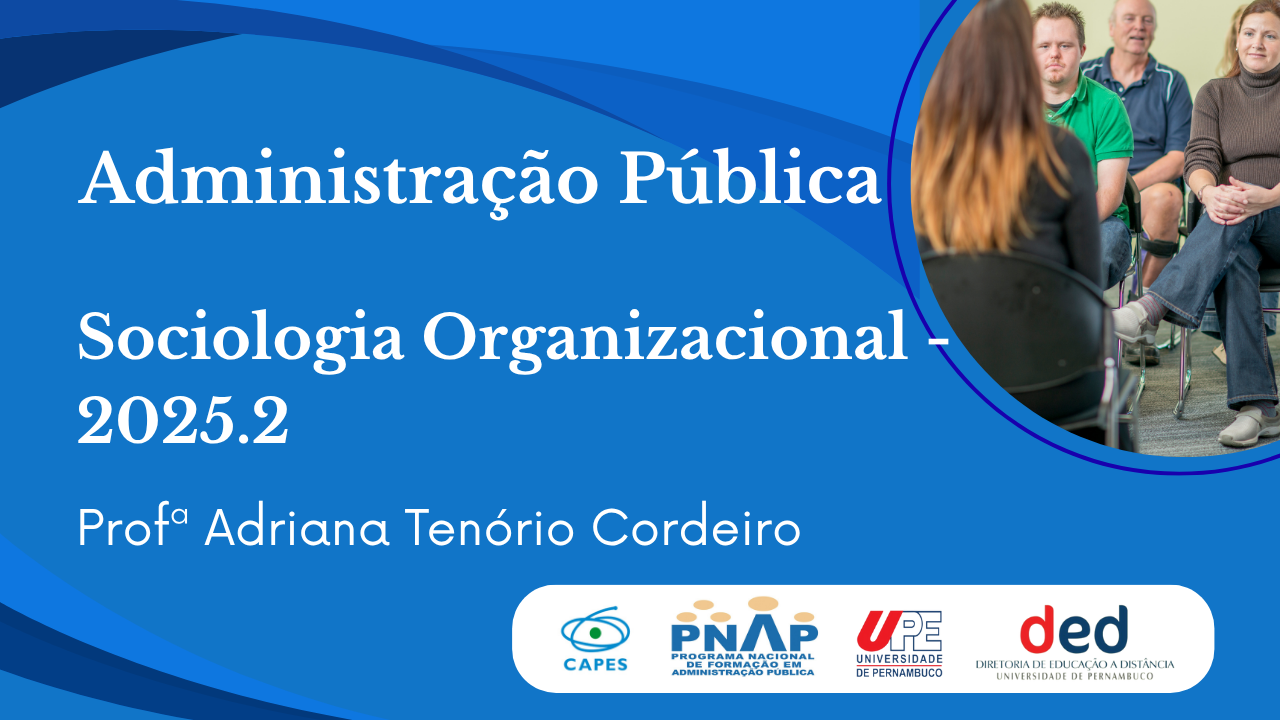 D7_SOCIOLOGIA ORGANIZACIONAL | 2025.2 ADM