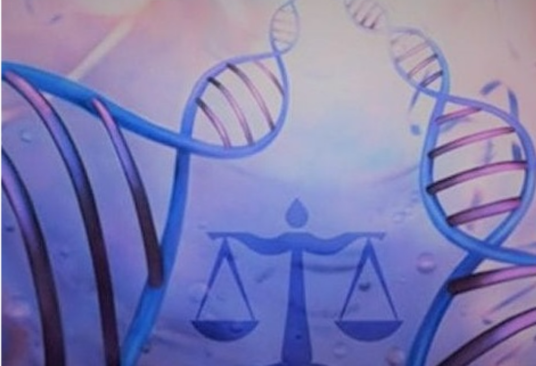 Módulo II - INTRODUÇÃO AOS CUIDADOS PALIATIVOS II : Bioética em Cuidados Paliativos _ Turma 1